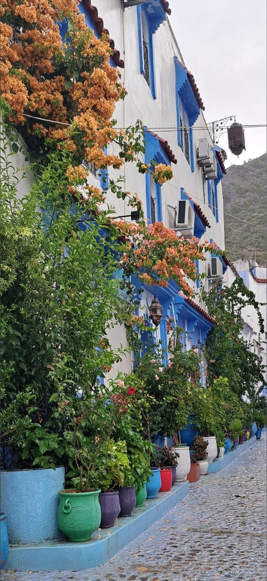 Dar Yakout Otel Şafşavan Dış mekan fotoğraf